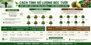 Hướng dẫn tính số lượng béc tưới cho 1 sào, 1ha sầu riêng và cà phê